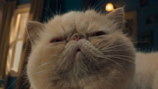 ProdCo: Deluxified (Thumbnail)