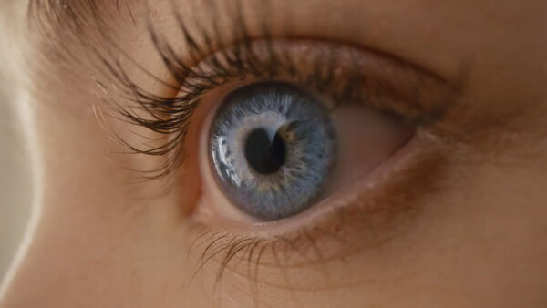 ProdCo: Galaxy S24 Ultra (Thumbnail)