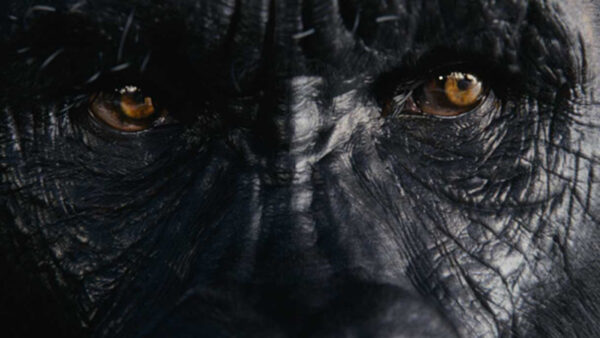 ProdCo: A Powerful Formula (Thumbnail)